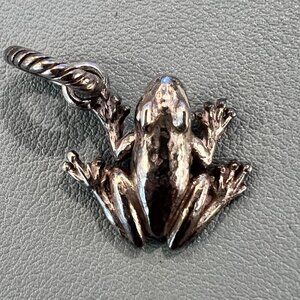 Brighton Frog Charm